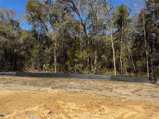 411 W ERIDANI COURT, Citrus Springs, FL 34434