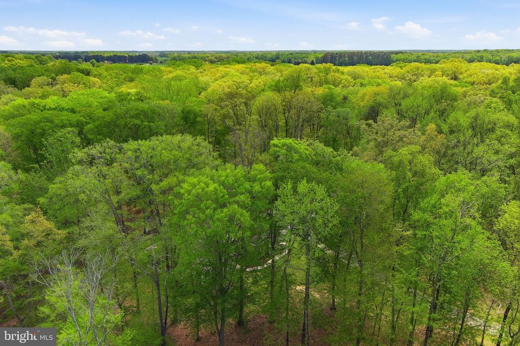 Image 59 of property listing at 25475 TURNBERRY CT, Chestertown, MD 21620