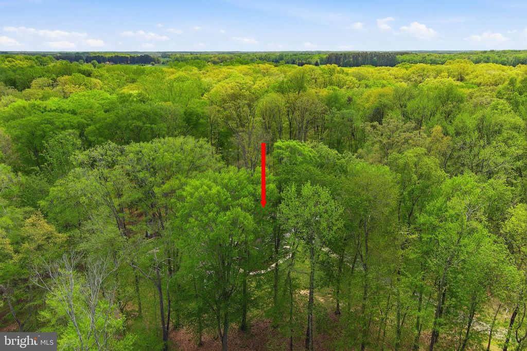 Image 60 of property listing at 25475 TURNBERRY CT, Chestertown, MD 21620