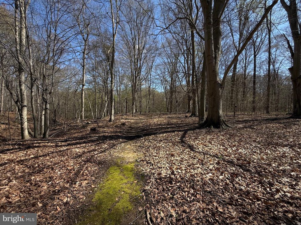 Image 69 of property listing at 25475 TURNBERRY CT, Chestertown, MD 21620