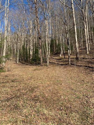 1016 Montgomery Road, Cumberland, KY 40823