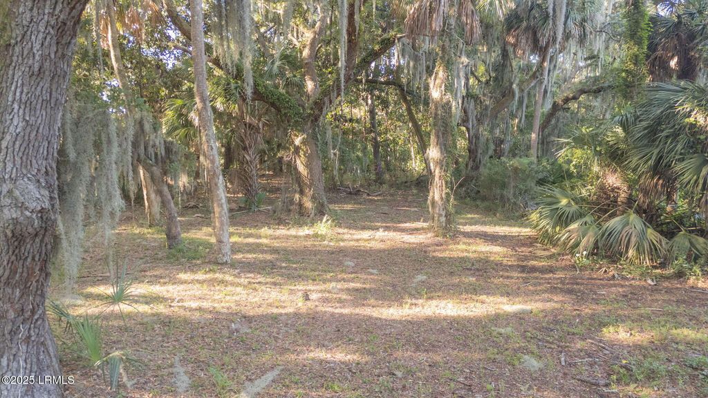 20 Harbor River Circle, St. Helena Island, SC 29920