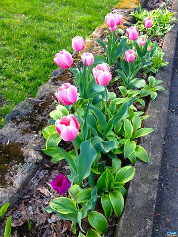 1820 FENDALL AVE, Charlottesville, VA 22903