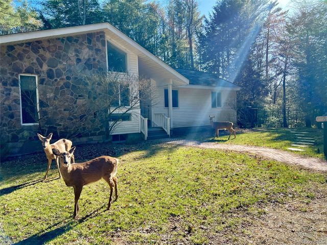 471 Horseshoe Lake Road, Swan Lake, NY 12783