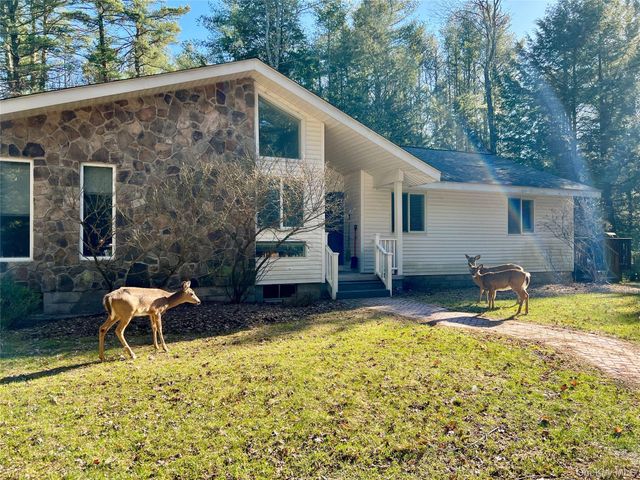 471 Horseshoe Lake Road, Swan Lake, NY 12783