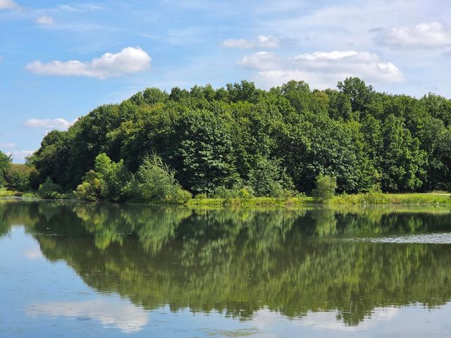 7538 Wood Brook Road, Ann Arbor, MI 48103