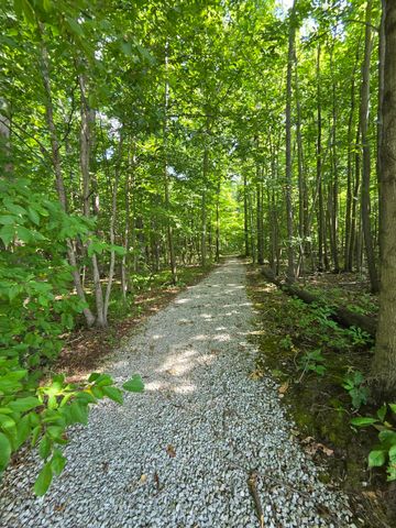 7538 Wood Brook Road, Ann Arbor, MI 48103