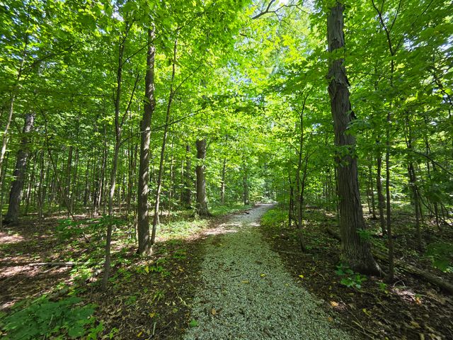 7538 Wood Brook Road, Ann Arbor, MI 48103