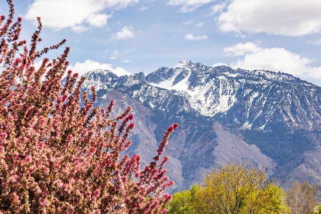 10251 S 535 E, Sandy, UT 84070