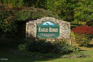 Tbd Eagle Ridge Road, Roan Mountain, TN 37687