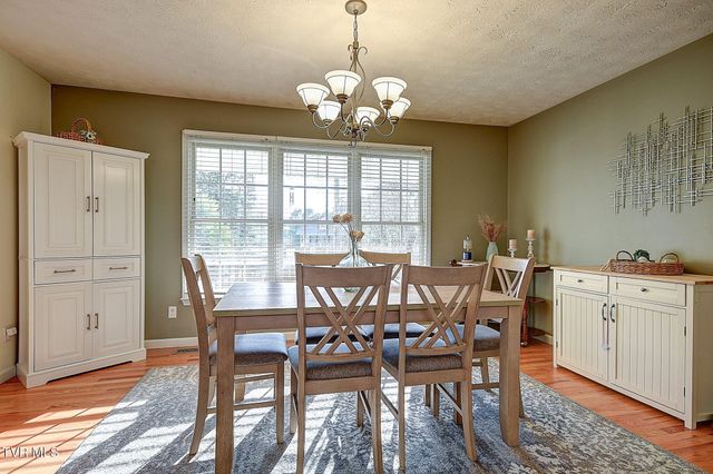 166 Nicole Drive, Mount Carmel, TN 37645