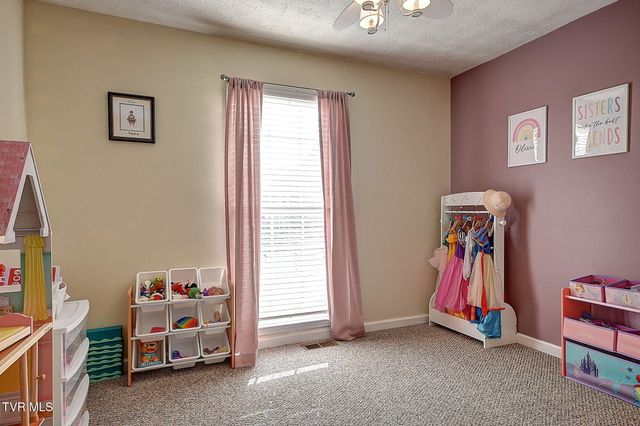 166 Nicole Drive, Mount Carmel, TN 37645