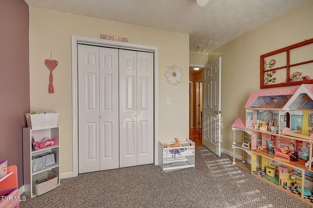 166 Nicole Drive, Mount Carmel, TN 37645