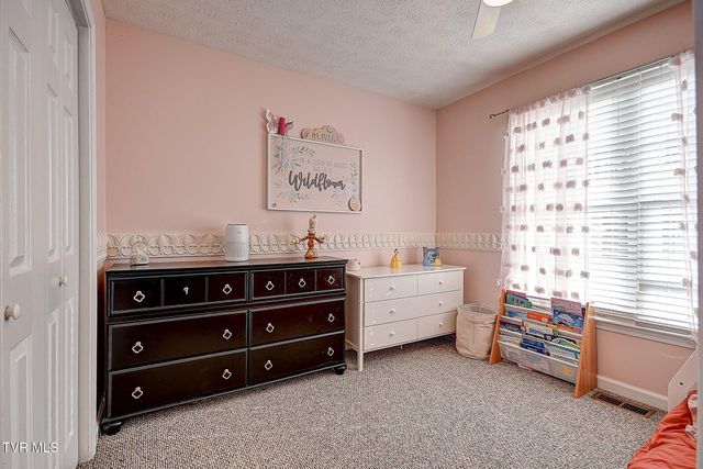 166 Nicole Drive, Mount Carmel, TN 37645