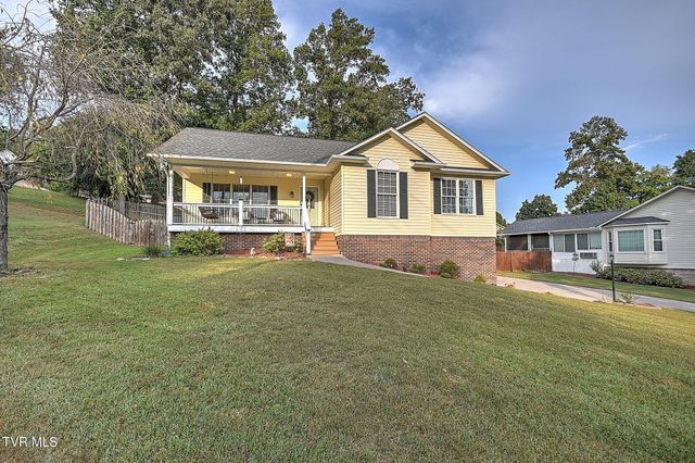 166 Nicole Drive, Mount Carmel, TN 37645