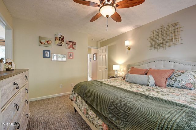 166 Nicole Drive, Mount Carmel, TN 37645