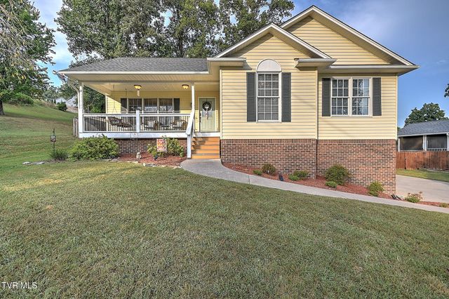 166 Nicole Drive, Mount Carmel, TN 37645