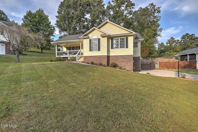 166 Nicole Drive, Mount Carmel, TN 37645