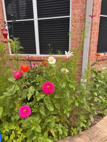 1224 Harvard Lane, Allen, TX 75002