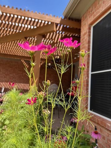 1224 Harvard Lane, Allen, TX 75002