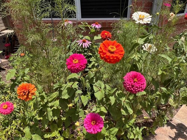 1224 Harvard Lane, Allen, TX 75002