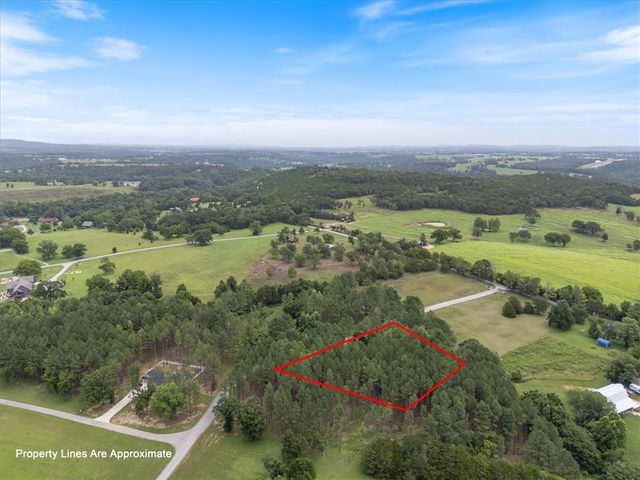 25 Pine Meadow Drive, Berryville, AR 72616