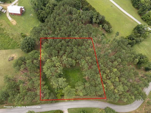 25 Pine Meadow Drive, Berryville, AR 72616