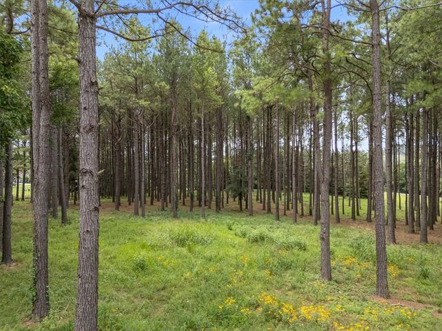 25 Pine Meadow Drive, Berryville, AR 72616