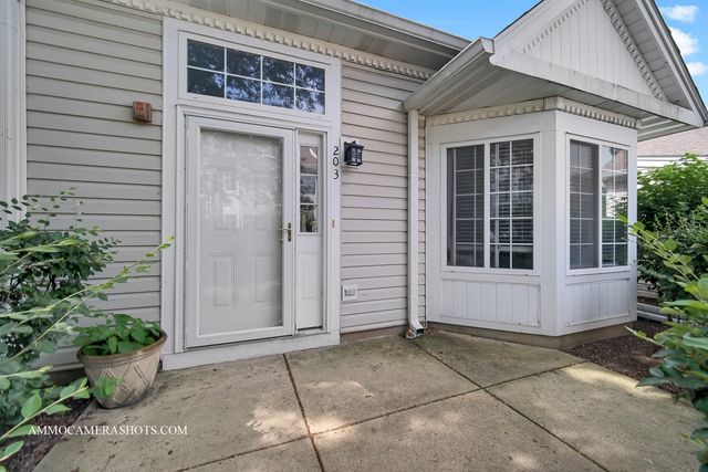 203 E Victoria Circle 203, North Aurora, IL 60542