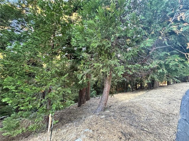28980 White Dove Lane, Lake Arrowhead, CA 92352