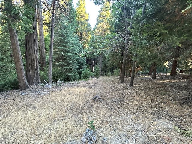 28980 White Dove Lane, Lake Arrowhead, CA 92352