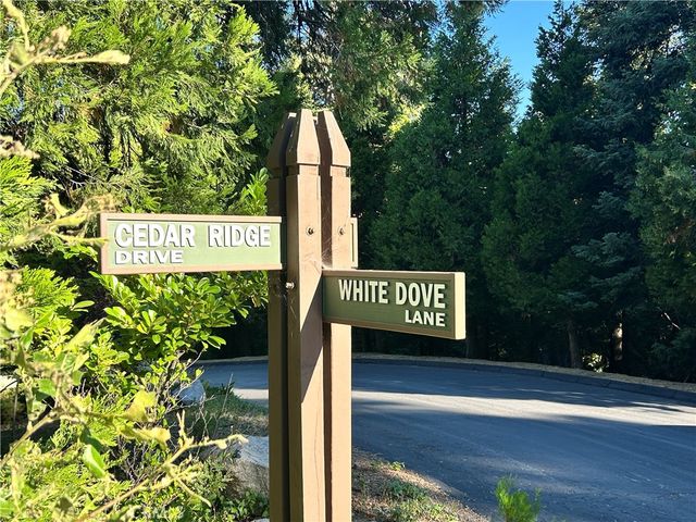 28980 White Dove Lane, Lake Arrowhead, CA 92352