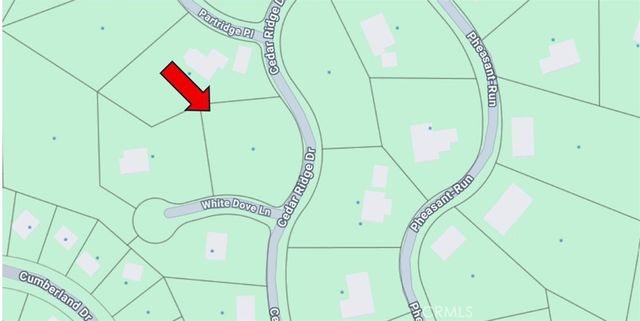 28980 White Dove Lane, Lake Arrowhead, CA 92352
