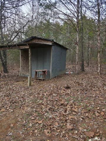 287 Thistle Valley Road, Violet Hill, AR 72584