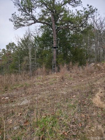 287 Thistle Valley Road, Violet Hill, AR 72584