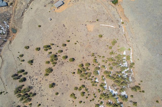 1538 County Road 1, Cripple Creek, CO 80813