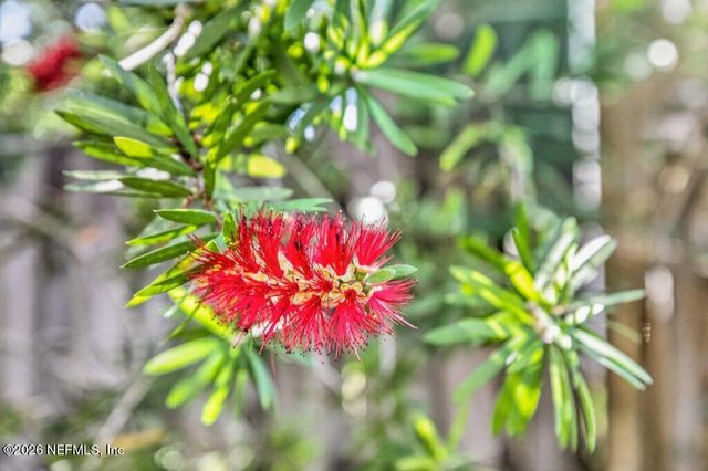 1218 BRIGHTON RIDGE Court, Jacksonville, FL 32218