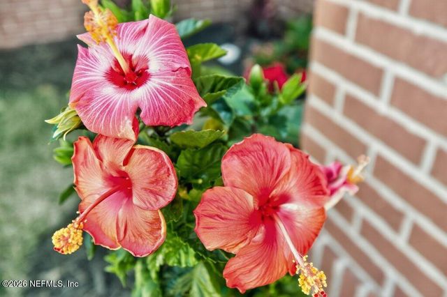 1218 BRIGHTON RIDGE Court, Jacksonville, FL 32218