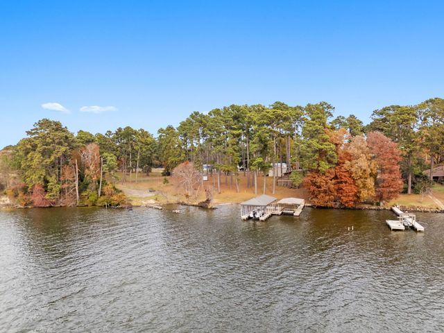 3096 Renee Drive, Chandler, TX 75758