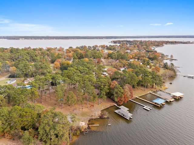 3096 Renee Drive, Chandler, TX 75758