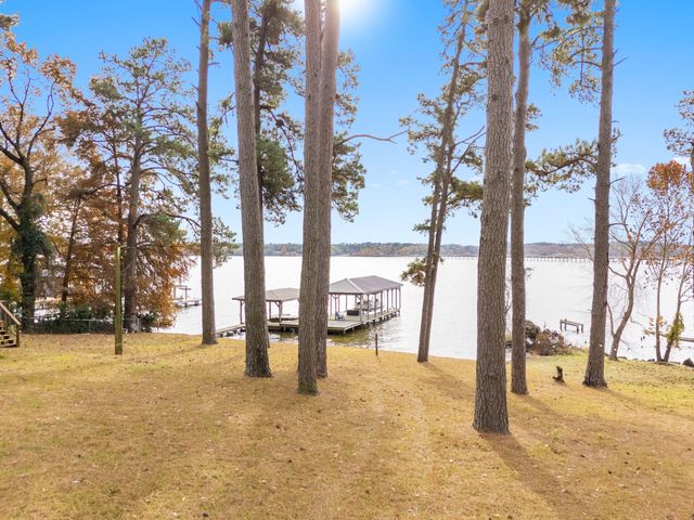 3096 Renee Drive, Chandler, TX 75758