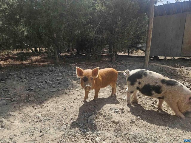 1340 ROUNDABOUT RD, Louisa, VA 23093