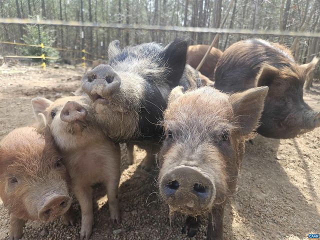 1340 ROUNDABOUT RD, Louisa, VA 23093