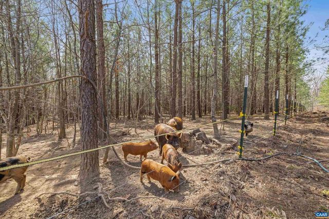 1340 ROUNDABOUT RD, Louisa, VA 23093