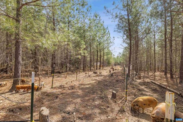 1340 ROUNDABOUT RD, Louisa, VA 23093