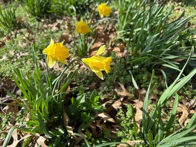 349 S Foreman Street, Vinita, OK 74301