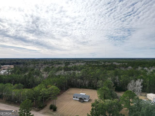 1337 H.G. Miles Drive, Shellman Bluff, GA 31331