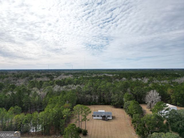 1337 H.G. Miles Drive, Shellman Bluff, GA 31331