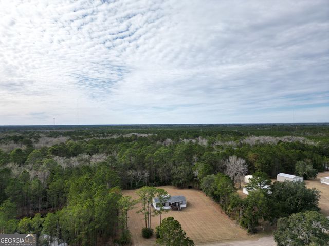 1337 H.G. Miles Drive, Shellman Bluff, GA 31331