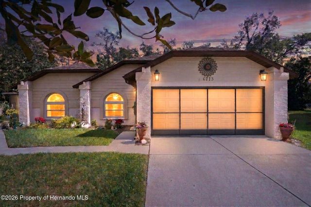 6713 Oak Cluster Circle, Spring Hill, FL 34606